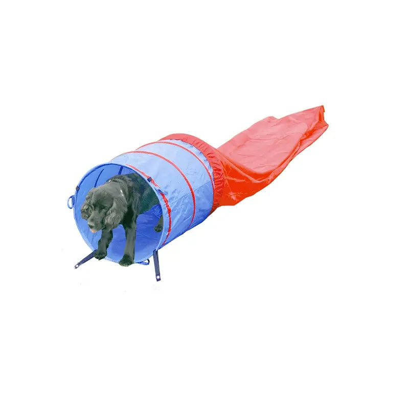 PAWISE TUNEL AGILITY 5 M