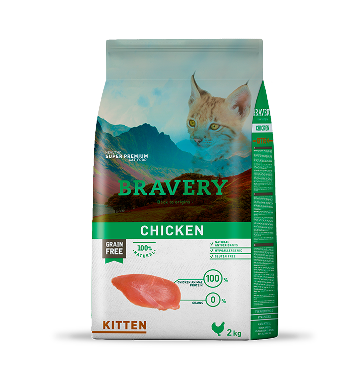 BRAVERY CHICKEN KITTEN