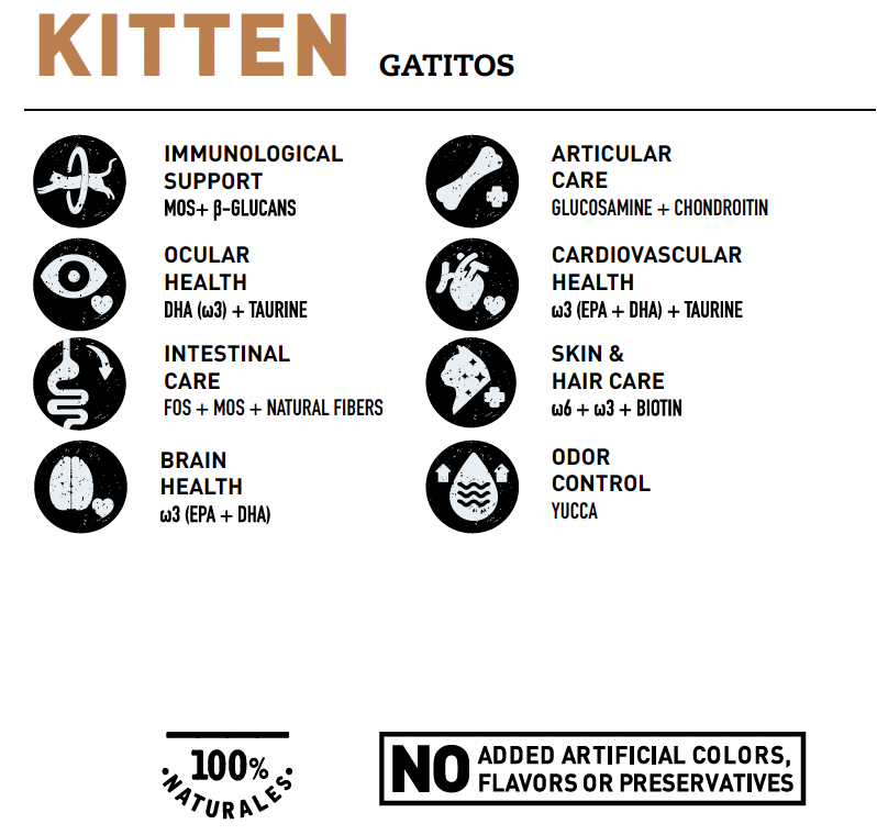 BRAVERY CHICKEN KITTEN