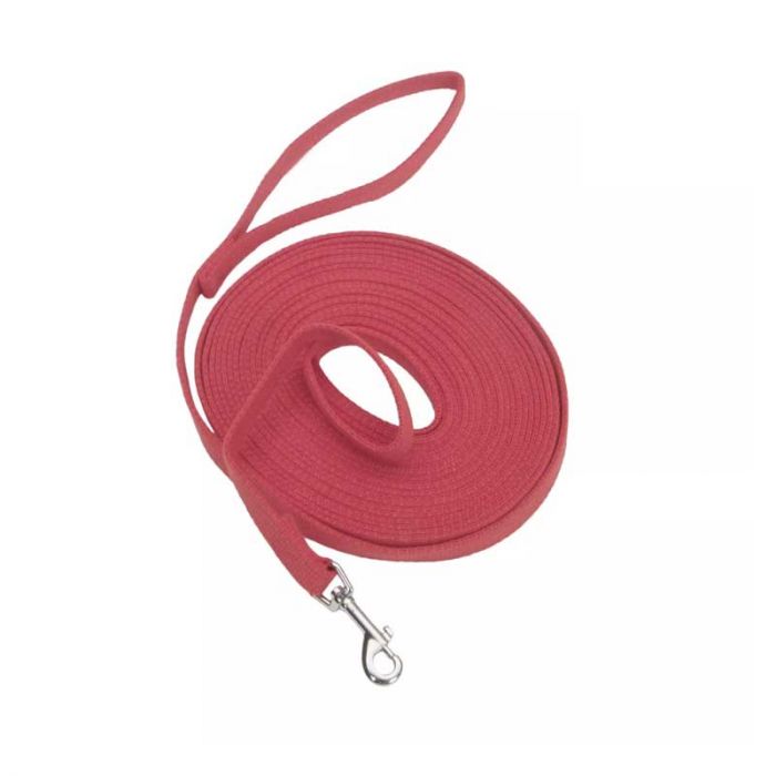 COASTAL CORREA PERRO TRAIN RIGHT 3 M ROJO
